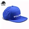 3D embroidered logo golf hats